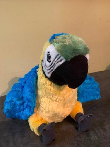 Blue gold macaw parrot - macaw,