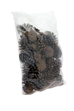 Pine Cones Austriaca Cones 1kg