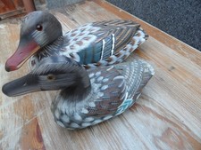 2 Colourful Detailed Wooden