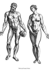 ML38 Vintage Medical Anatomy