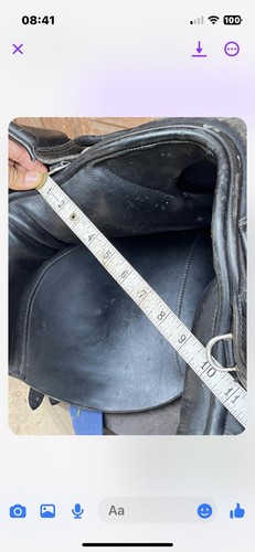 Ideal working hunter - 17.5”,