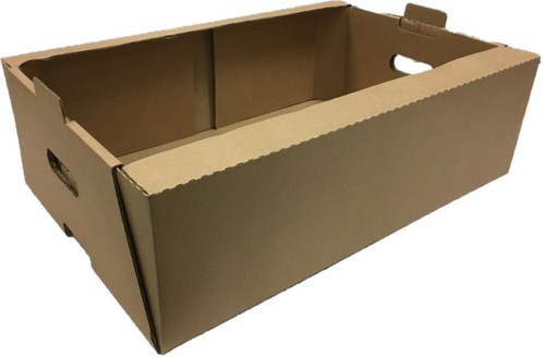 X 7 cardboard - x,