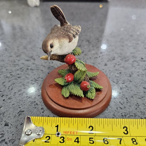 Border fine arts birds - birds, by
