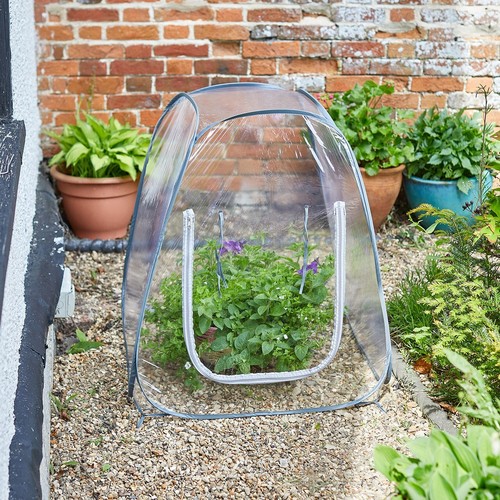 Pop cloche plant pot - cloche,