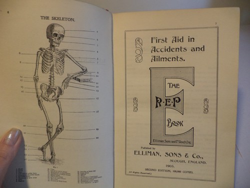 The book rubbing - book, eases