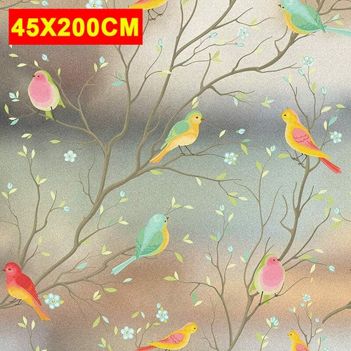 Rainbow bird frosted window - frosted,