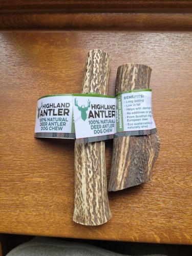 Large highland antler 100 - large,