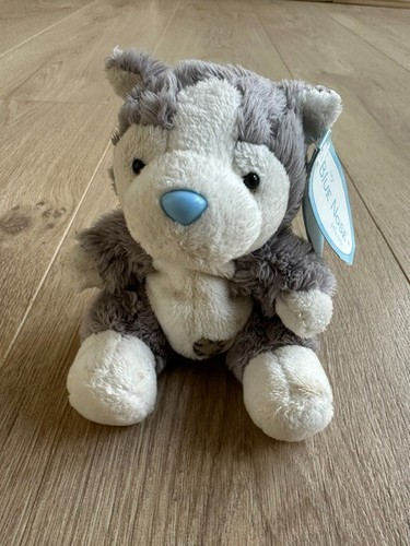 Alaska the husky tatty teddy - the,