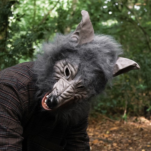 Wolf mask halloween fancy - mask,