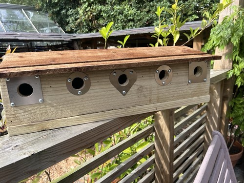 Sparrow nest bird box - nest, wooden