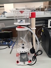 BUBBLE-MAGUS Curve 7 Protein