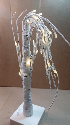 Tabletop birch tree white twig - tabletop,