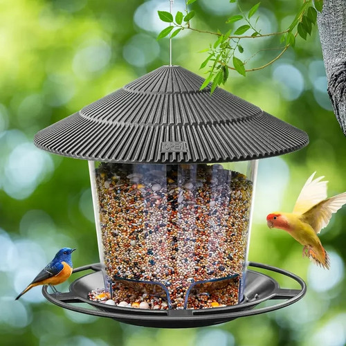 Smart automatic bird feeder - bird,