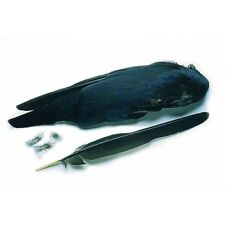 Crow Wings, Fly Tying Feathers, Fly Tying, Making Trout Flies, Craft Feather