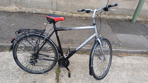 The raleigh pioneer - metro, lx