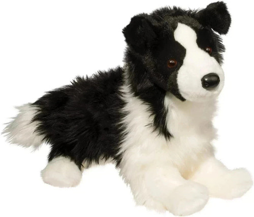 Dougles chase border collie - border,