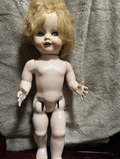 17 In 1950s Pedigree Walker