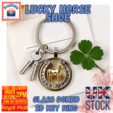 Lucky Horseshoe Glass Domed