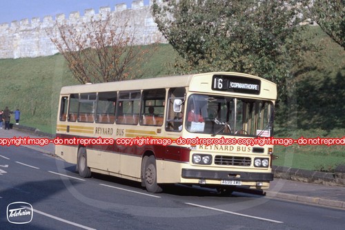 Bus photo reynard york - photo,