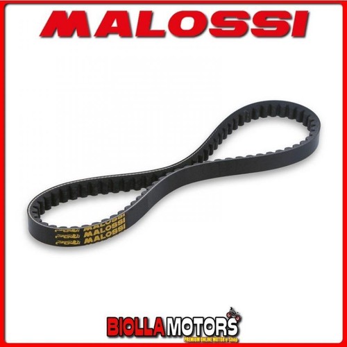 6116667 variator belt - 6116667, malossi