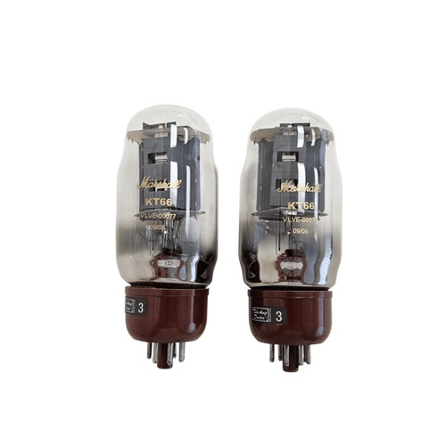 Kt66 gold tad original - kt66,