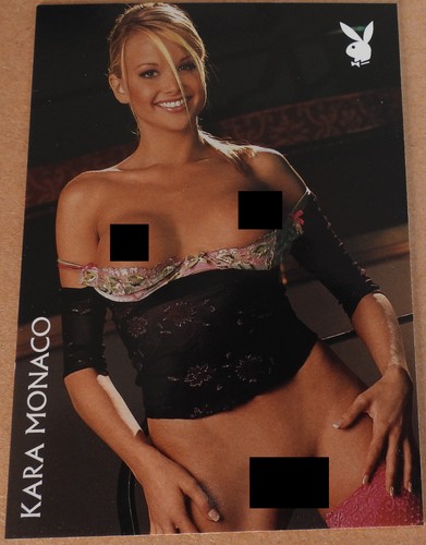 2005 playboy lingerie 100th - 2005,