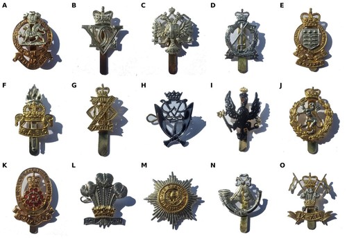 Regiment badges job lot - x,