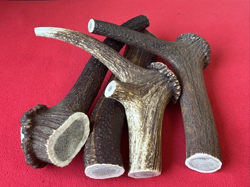 One piece natural deer - one,