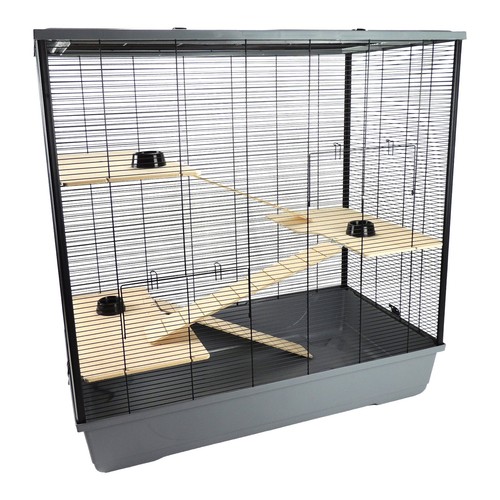 Rat hamster pet animal cage - hamster,