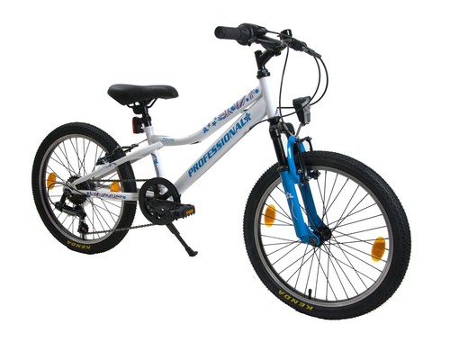 Bloom wheel frame 6 - bloom, 20"