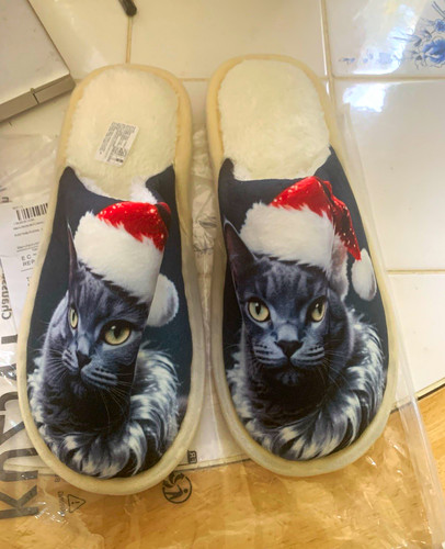 Womens maine coon - coon, christmas