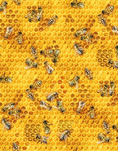 Fat quarter honey bee - honey, on