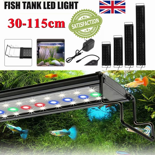 115cm aquarium fish - aquarium,