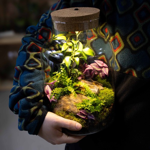 Light terrarium kit v2 - light-up,