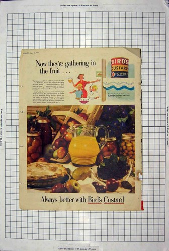 Old vintage print 1951 - old,