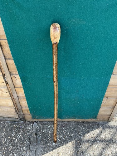 Spalted beech shillelagh - spalted, on