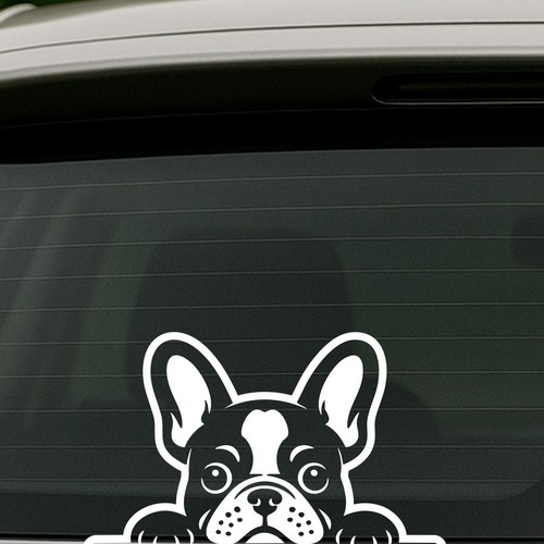 French bulldog peeking - bulldog,