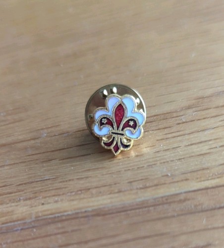 Vintage scout fellowship lapel - scout,