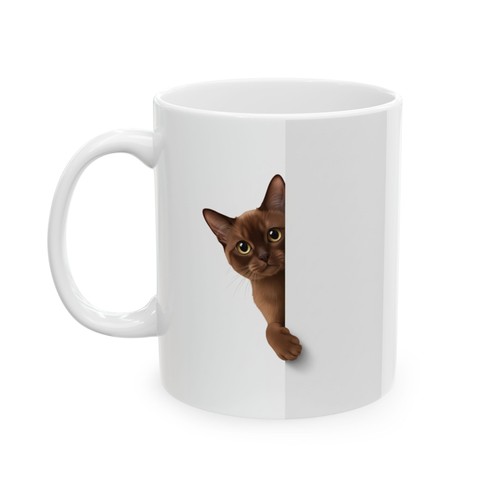 Burmese cat peeking around - peeking,