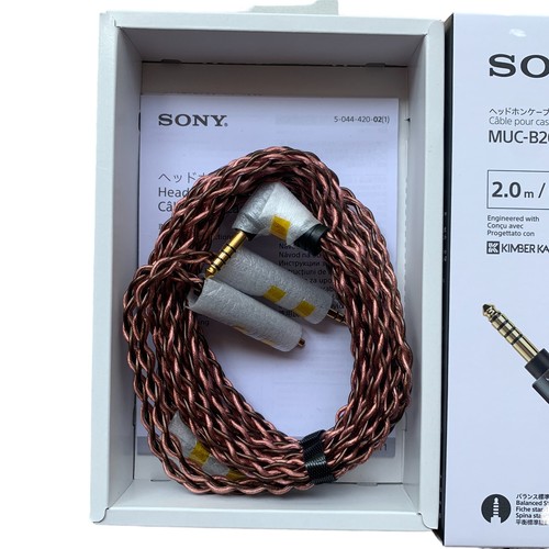 4mm standard balanced audio - 4.4mm,