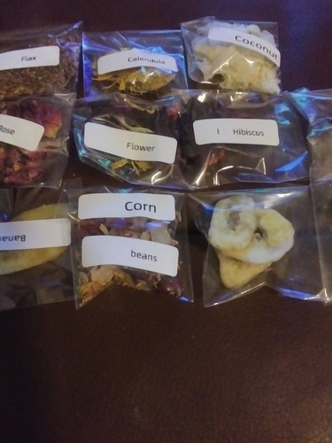 Land hermit crab food treat - hermit, food/treat's
