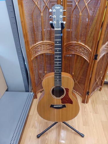 Taylor mini electric - taylor,