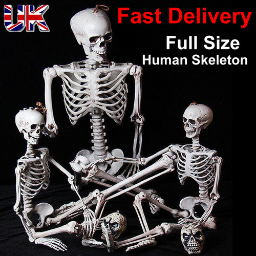Full size halloween - full,