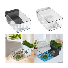 Small Turtle Tank, Turtle