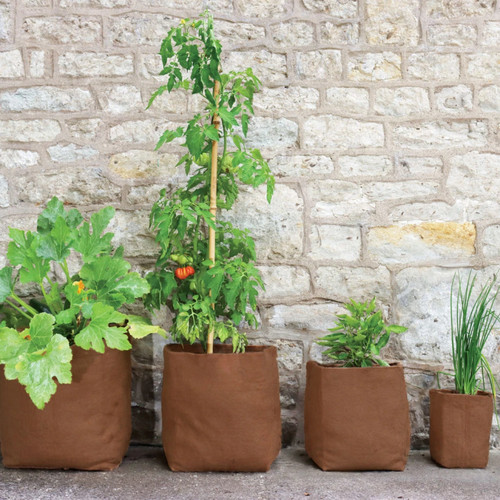 Hemp fibre pots plastic - hemp, free