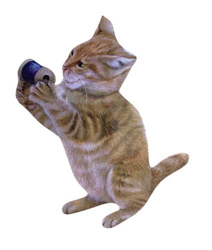Ginger kitten magnet - kitten,