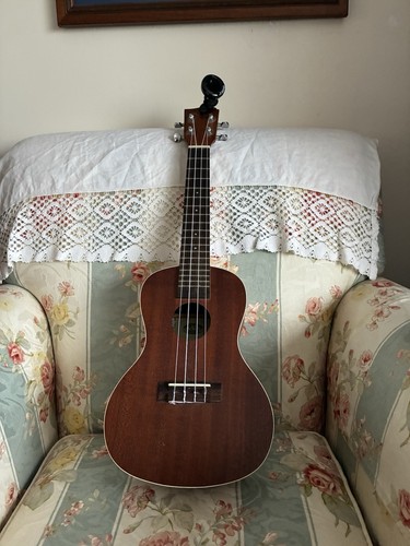Kala concert ukulele - ukulele, and