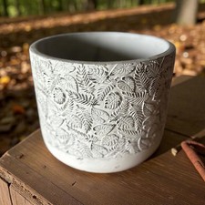 Concrete Planter Pot, With an