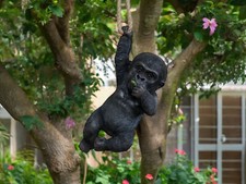 Hanging Baby Gorilla Garden