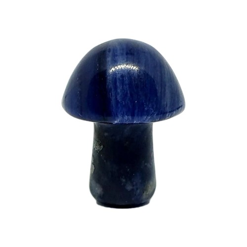Mushroom sodalite gemstone - mushroom,
